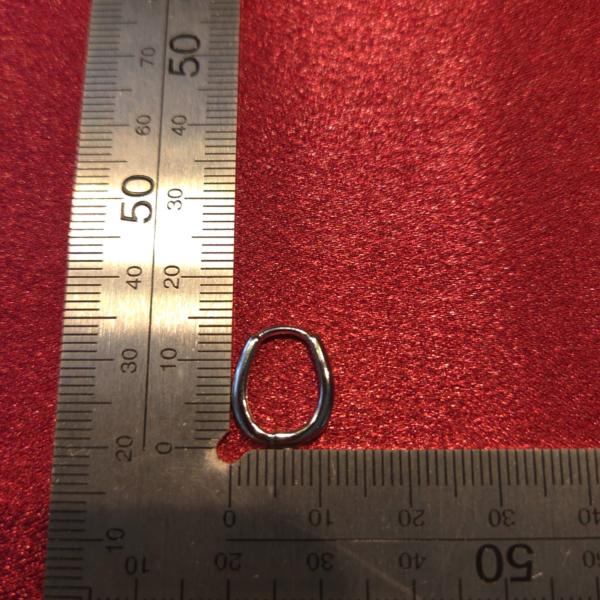 RVS creolen met kristallen hanger