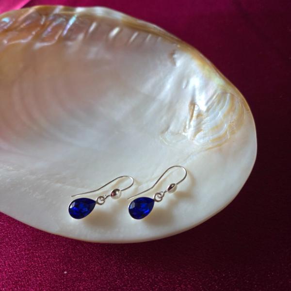 925 zilveren oorhaken met Oostenrijks kristal