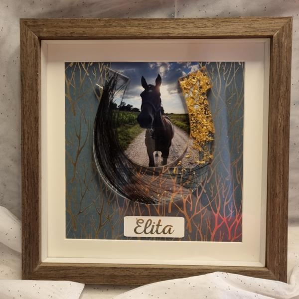 Hoefijzer groot - custom item