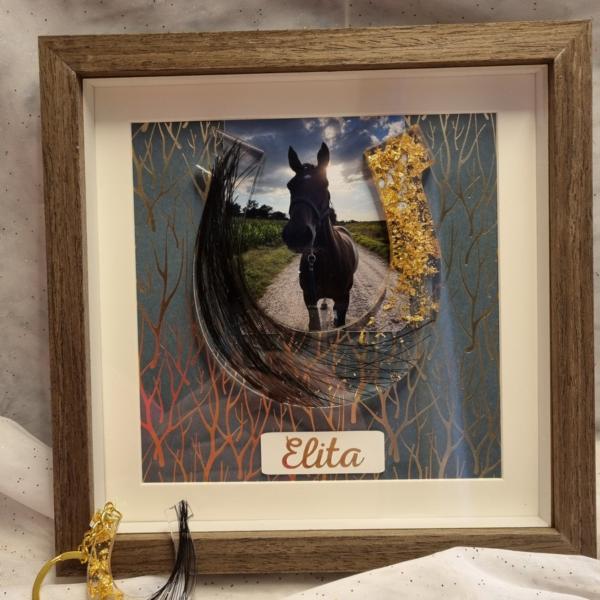 Hoefijzer groot - custom item